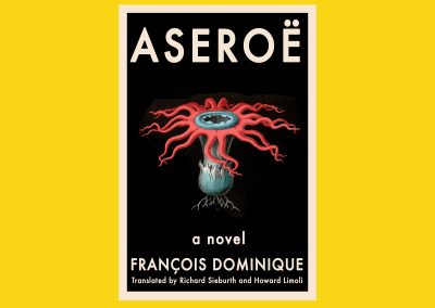 Peter Selgin, Book Cover Design, Aseroe, Fancsois Dominique, Bellevue Literary Press