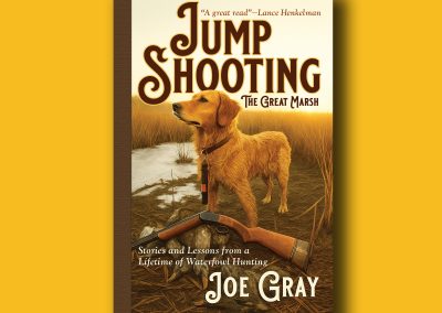 Cover design for JUMP SHOOTING, by Joe Gray